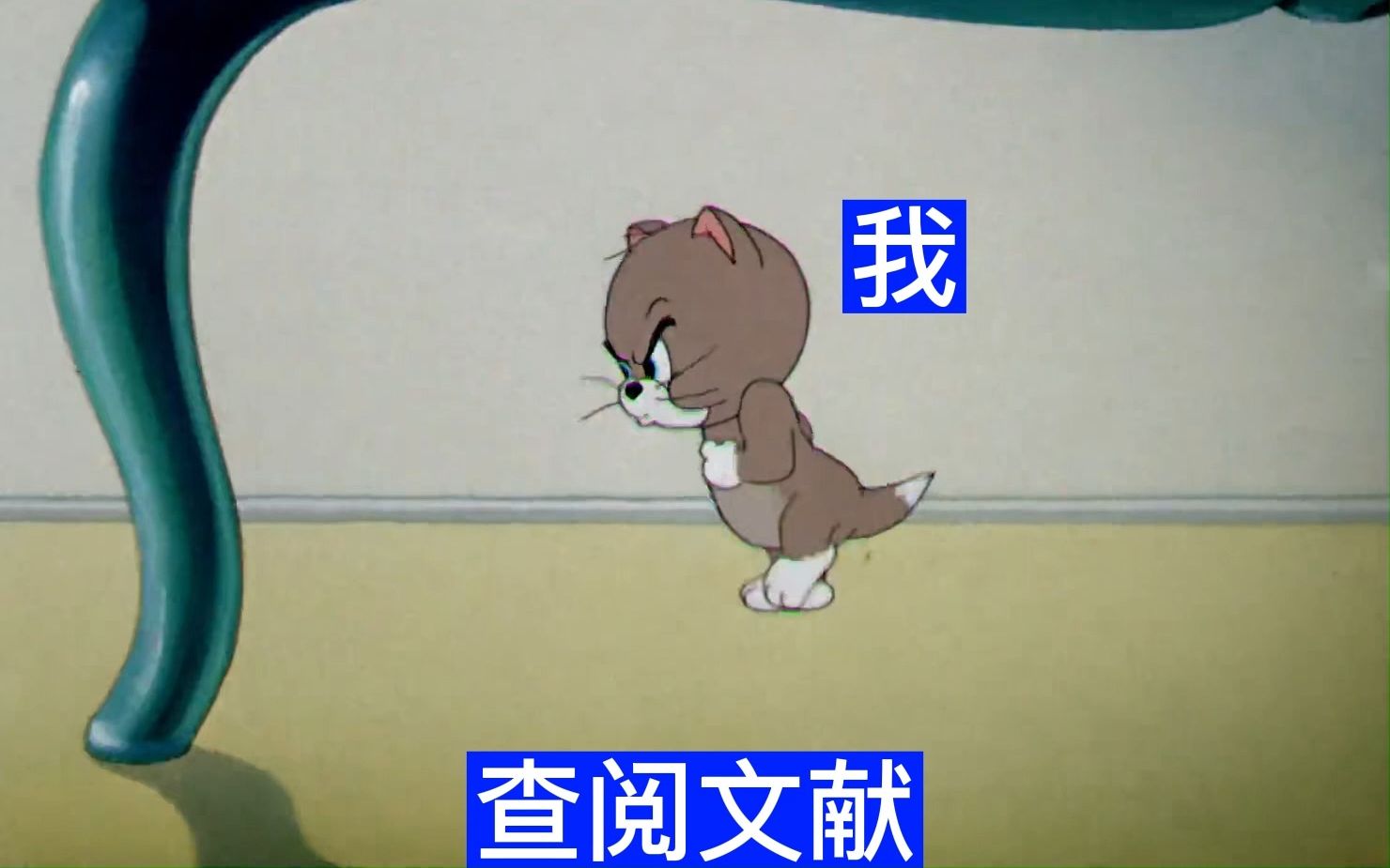 当导师发布任务时哔哩哔哩bilibili