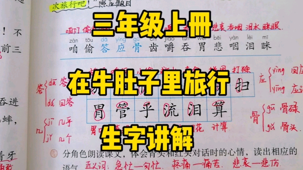 三年级语文上册:《在牛肚子里旅行》生字讲解,赶快学完生字加入蟋蟀的旅行团吧!哔哩哔哩bilibili