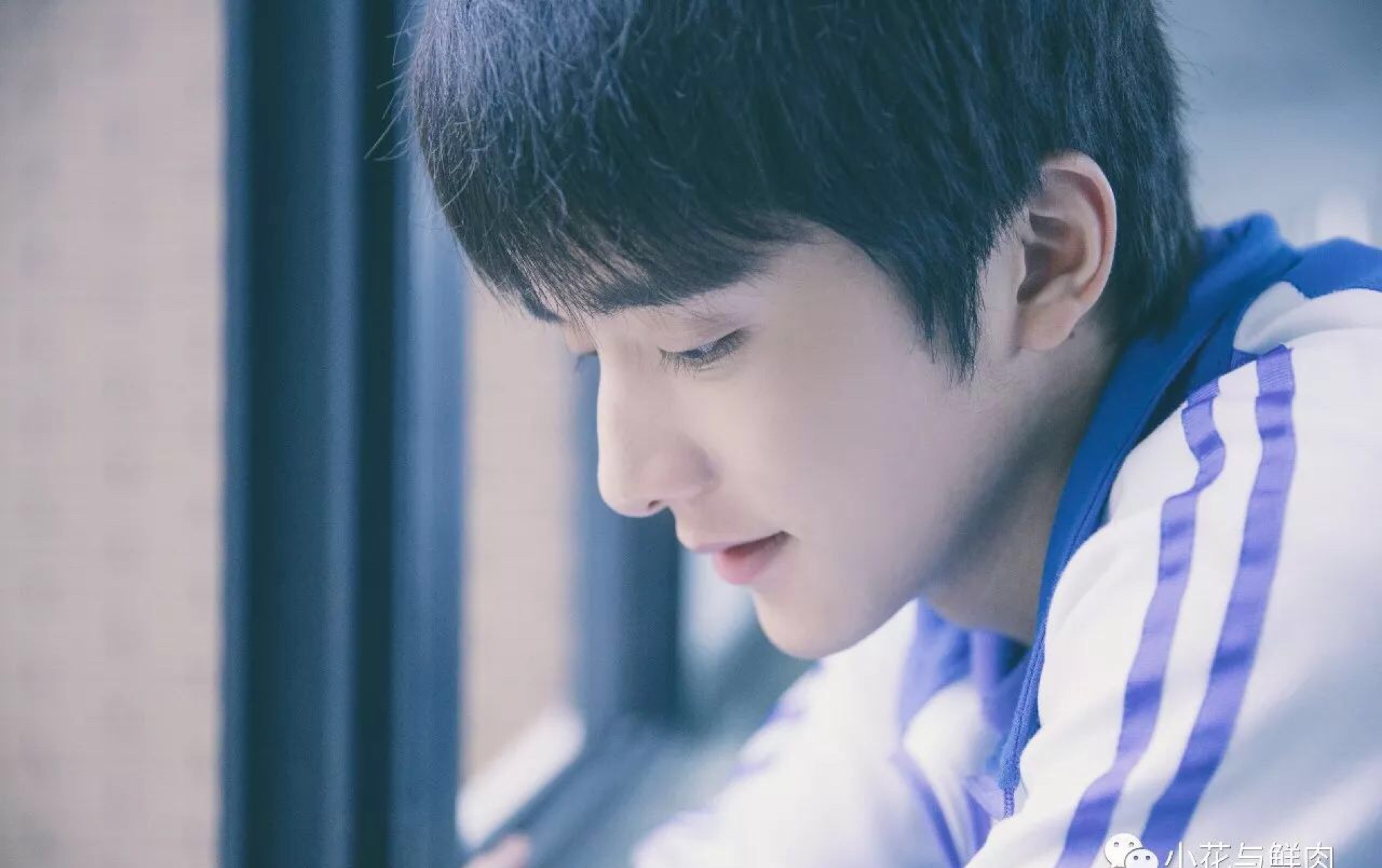 【过门|priest】寻临 (胡一天x张新成)剧情向剪辑