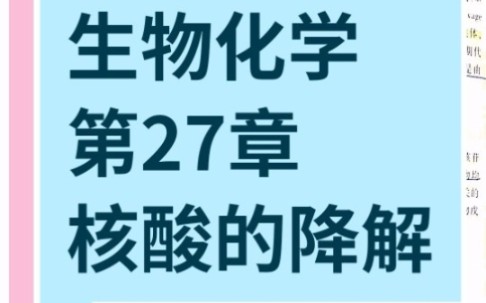 生物化学——第27章核酸的降解和核苷酸代谢哔哩哔哩bilibili