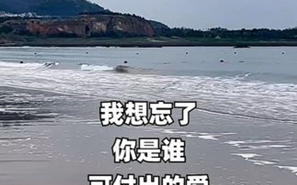 [图]我想忘了你是谁，可付出的爱收不回，爱你爱的伤痕累累，痴情是我犯下的罪