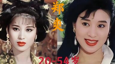 大郑爽 