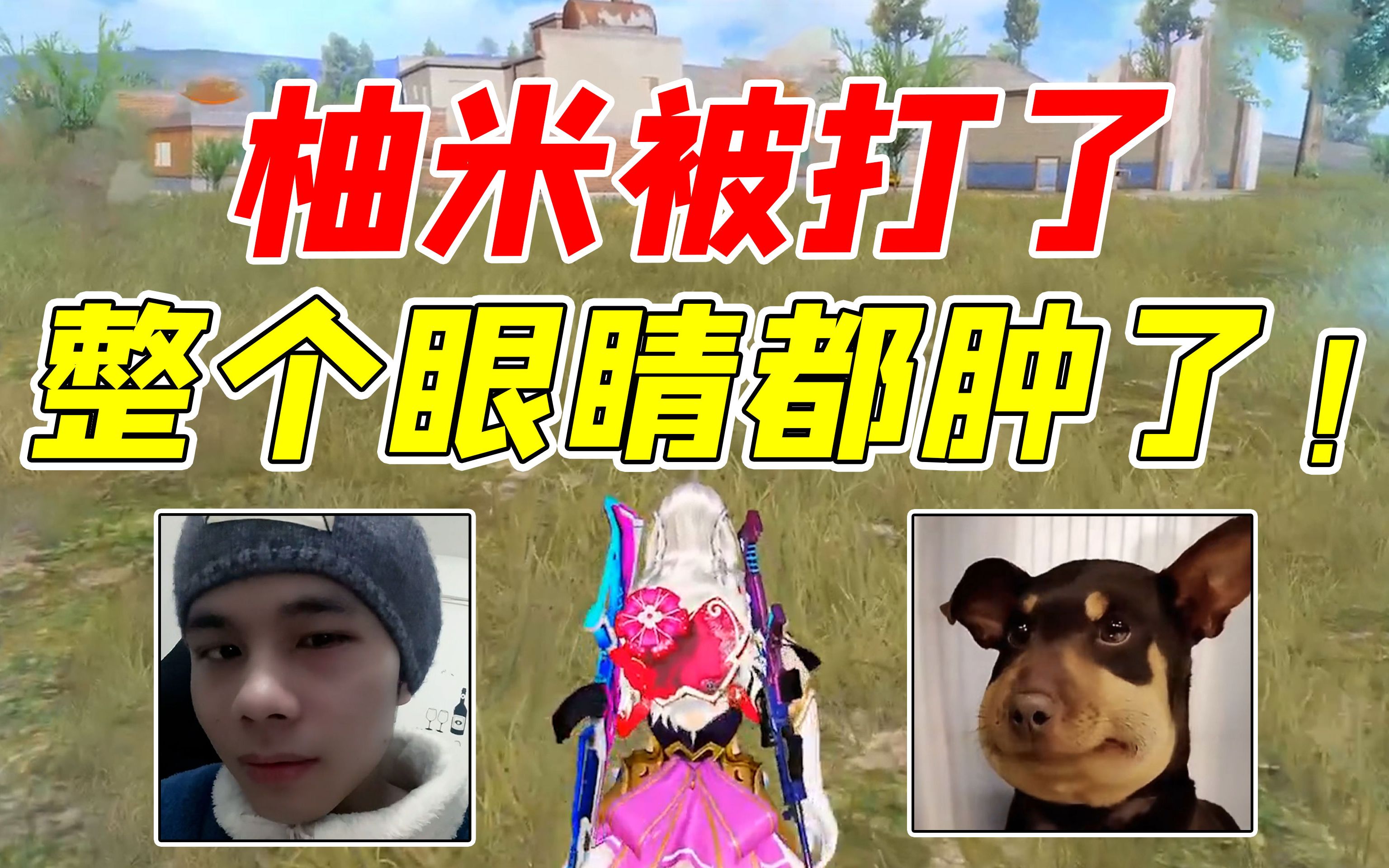 七妹揭秘:柚米被打了,整个眼睛都肿了,怎么回事?