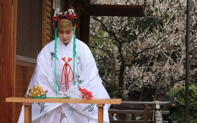 净瑠璃的个人空间 哔哩哔哩 Bilibili