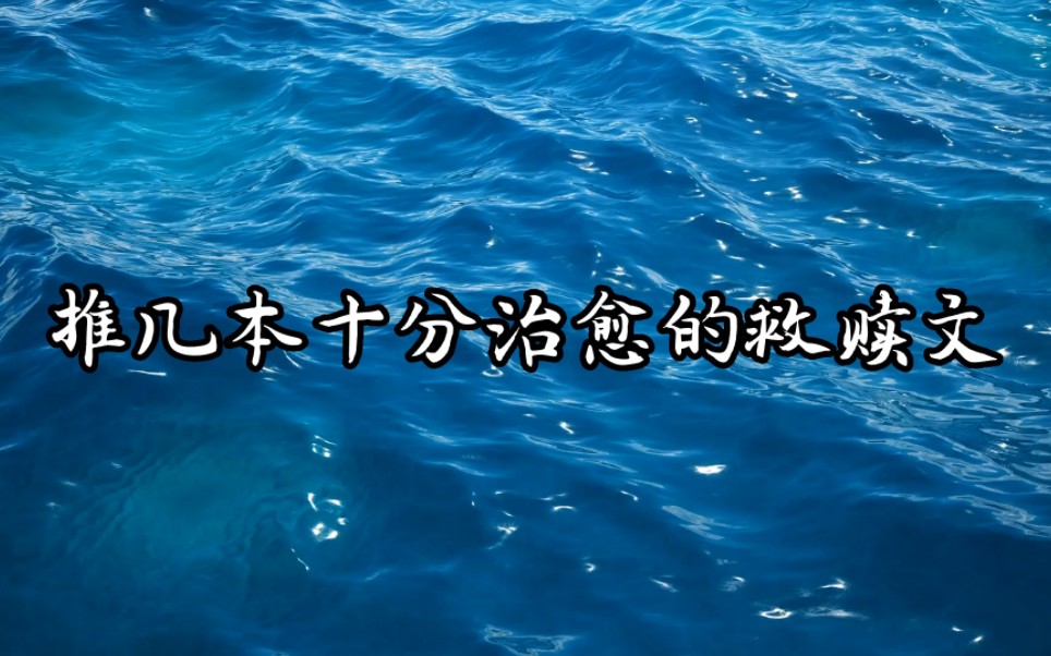 推几本十分治愈的救赎文哔哩哔哩bilibili