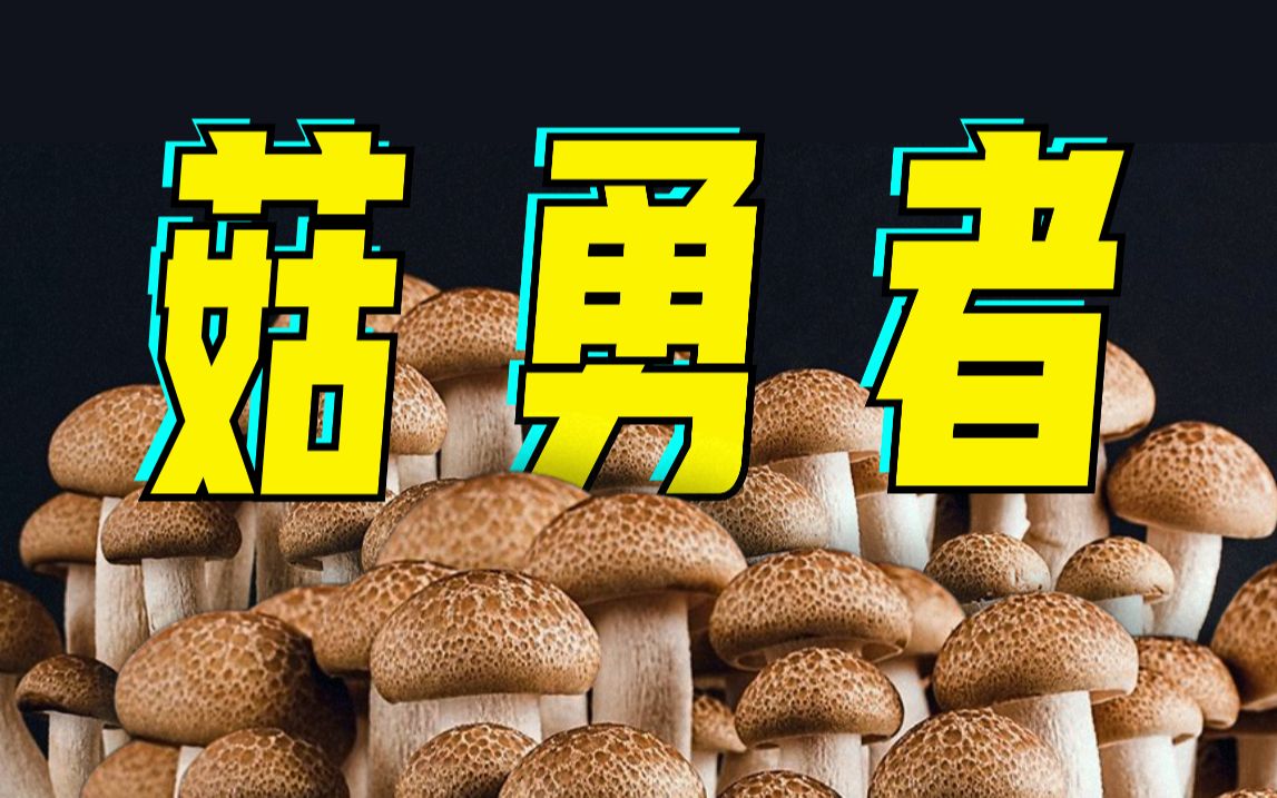 [图]《菇 勇 者》，但是云南野生菌版