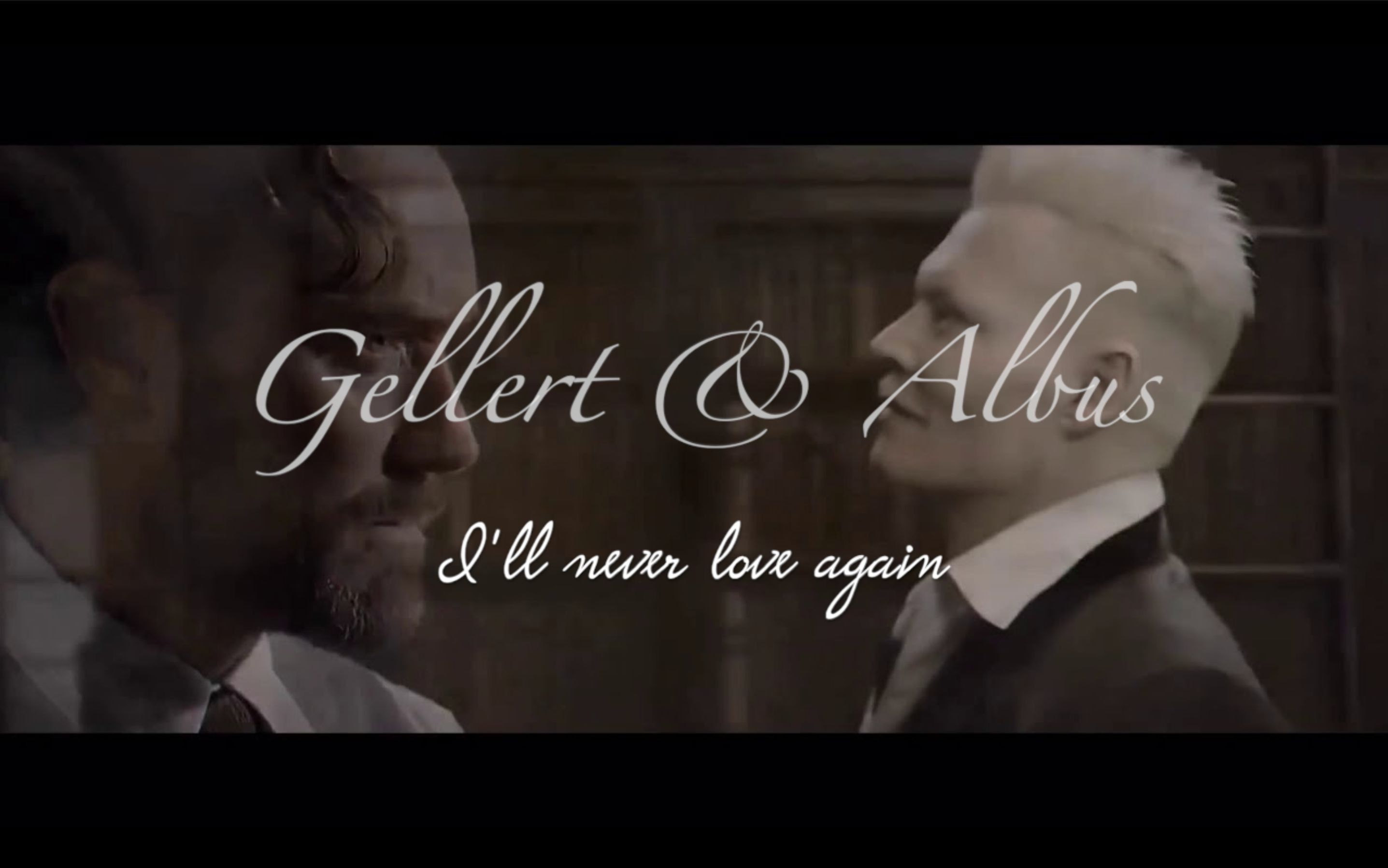 hpggadillneverloveagain格林德沃邓布利多