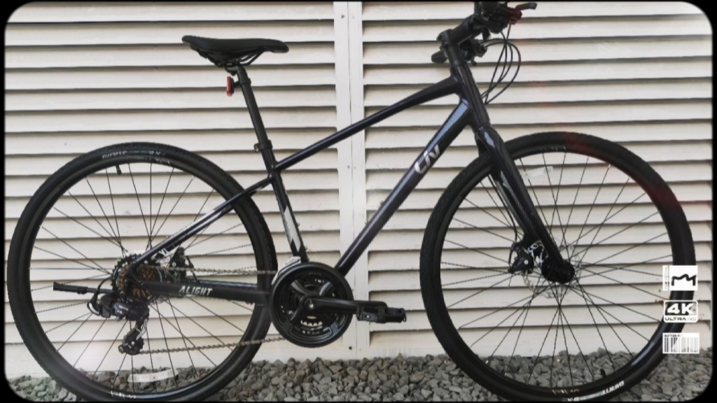 liv高颜值平把公路车 专业女性几何车架alight2