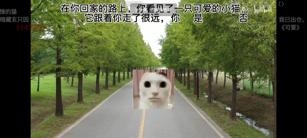 [图]猫猫惊魂好节局和坏节局