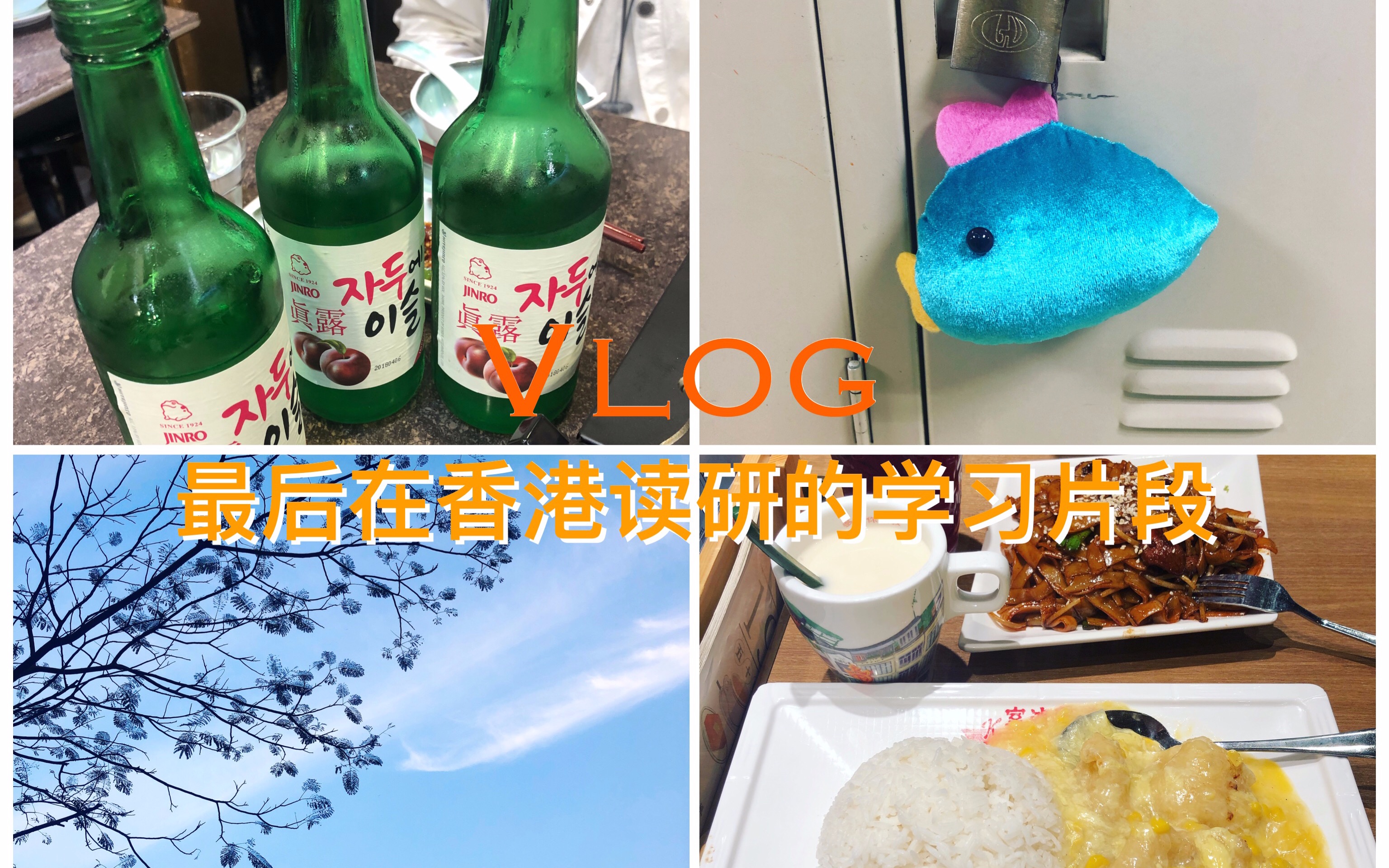 Vlog.在香港读研倒数的日子 | 二刷金记 | 泡图书馆 | 香港教育大学哔哩哔哩bilibili