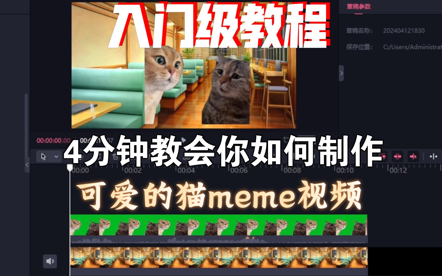 只用3分钟57秒,学会做猫meme视频-一只流浪の鸟-猫meme-哔哩哔哩视频