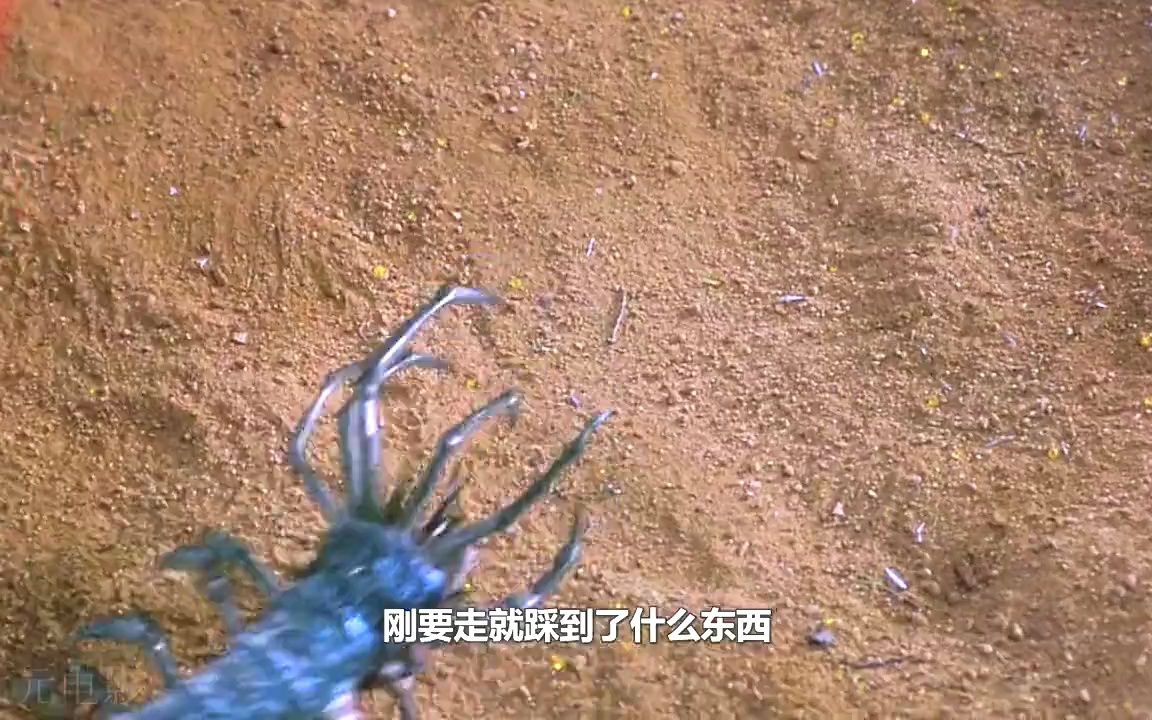 你肯定没见过这种生物《进化危机》科幻电影哔哩哔哩bilibili