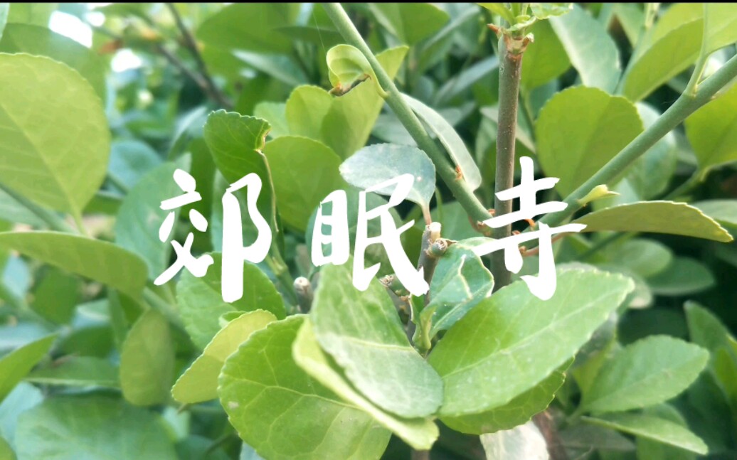 "亿万场冷暖亿万泥污人"