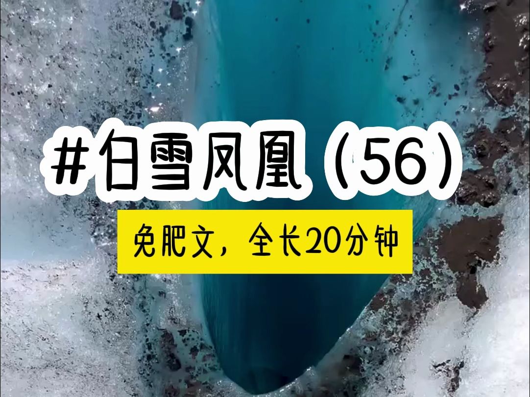 [图]茗《白雪凤凰》第