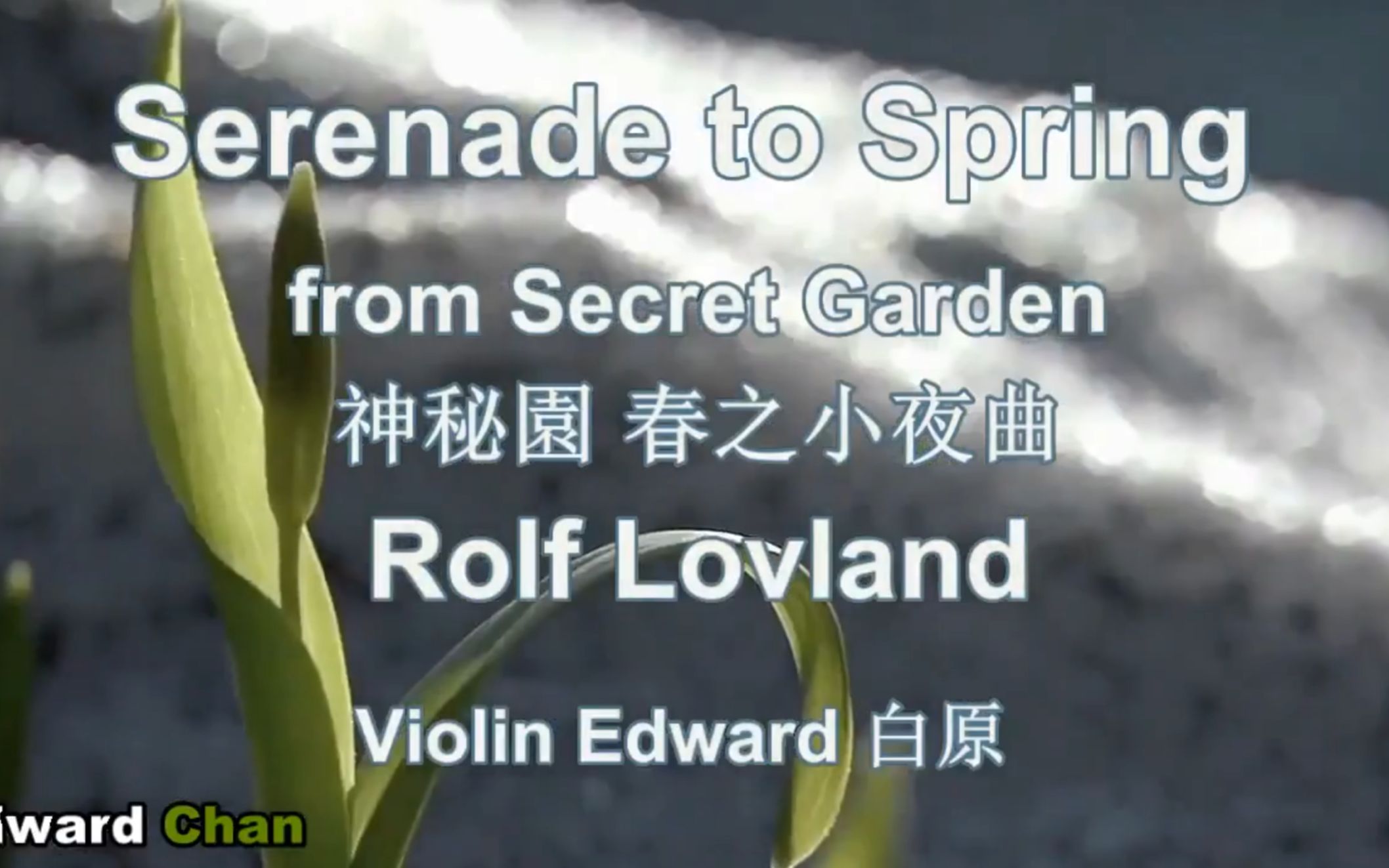 [图]Serenade to Spring 春之夜曲 白原