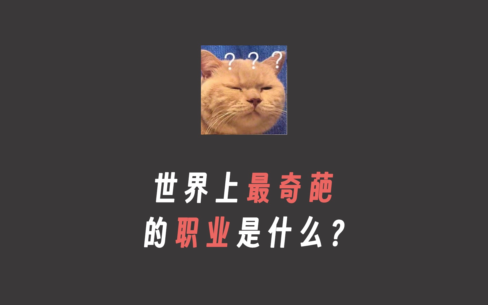 闻屁师是什么职业?哔哩哔哩bilibili