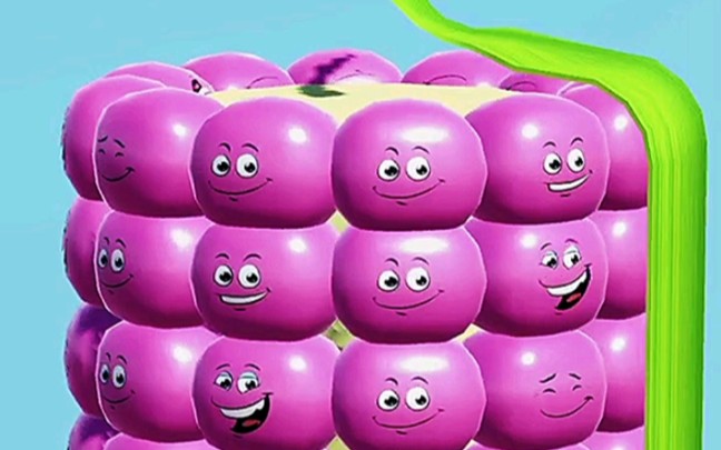 这玉米怎么是粉色的呀?