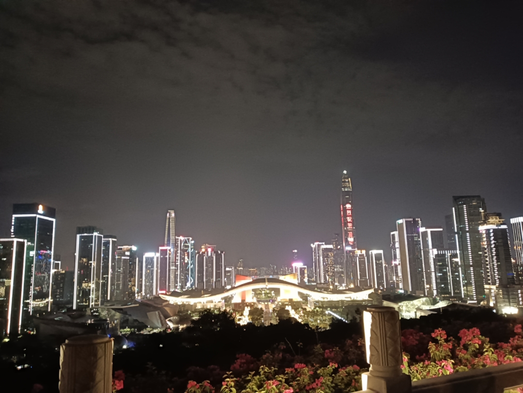 深圳莲花山公园夜景图片