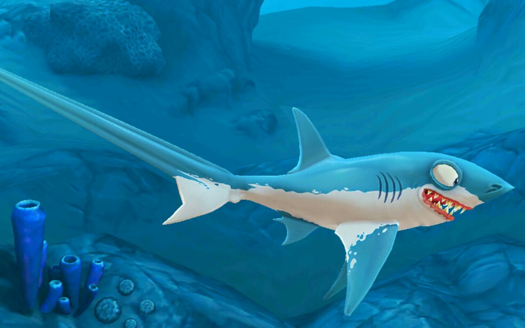 饥饿鲨世界鲨鱼介绍(7)长尾鲨