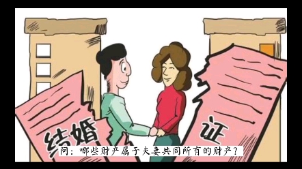 离婚时哪些财产是夫妻共同财产?#王祖泽律师 #夫妻共同财产 #财产分割哔哩哔哩bilibili