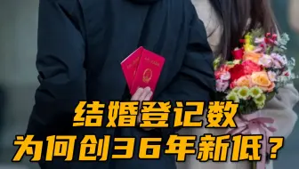 催也没用 这届年轻人为什么不想结婚了 哔哩哔哩 Bilibili