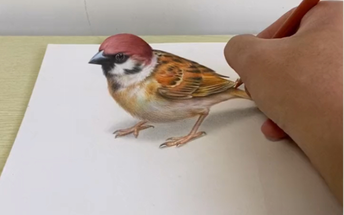 【3d立体画】彩铅麻雀