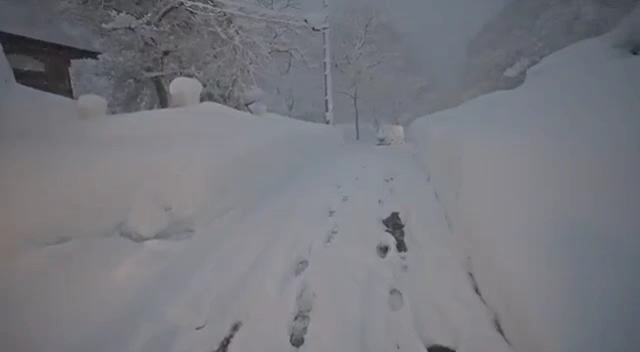 [图]大雪纷飞中的小镇