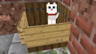 Minecraft 教你做猫窝 中文字幕 哔哩哔哩 Bilibili
