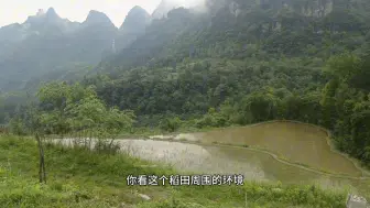 Скачать видео: 山中独居一户一人好环境，旁边老板投资养殖场建好就荒废了