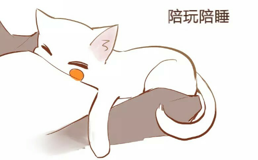 【银帕有声漫画】当帕洛斯变成猫咪【小淼桑配音】哔哩哔哩bilibili