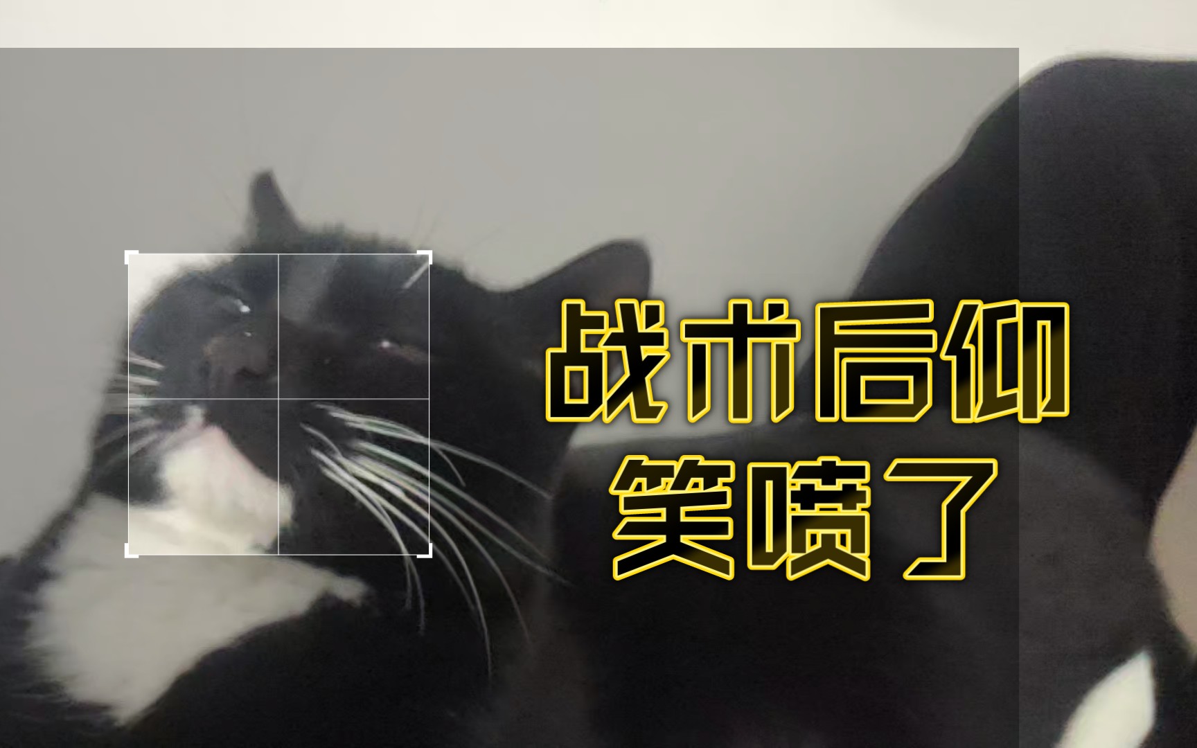 你这个年纪你这么睡得着的? 战术后仰