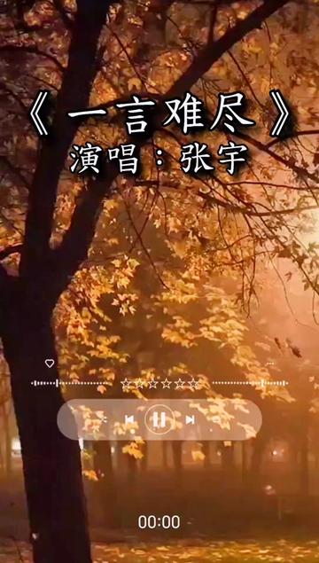 一言难尽#张宇#音乐分享