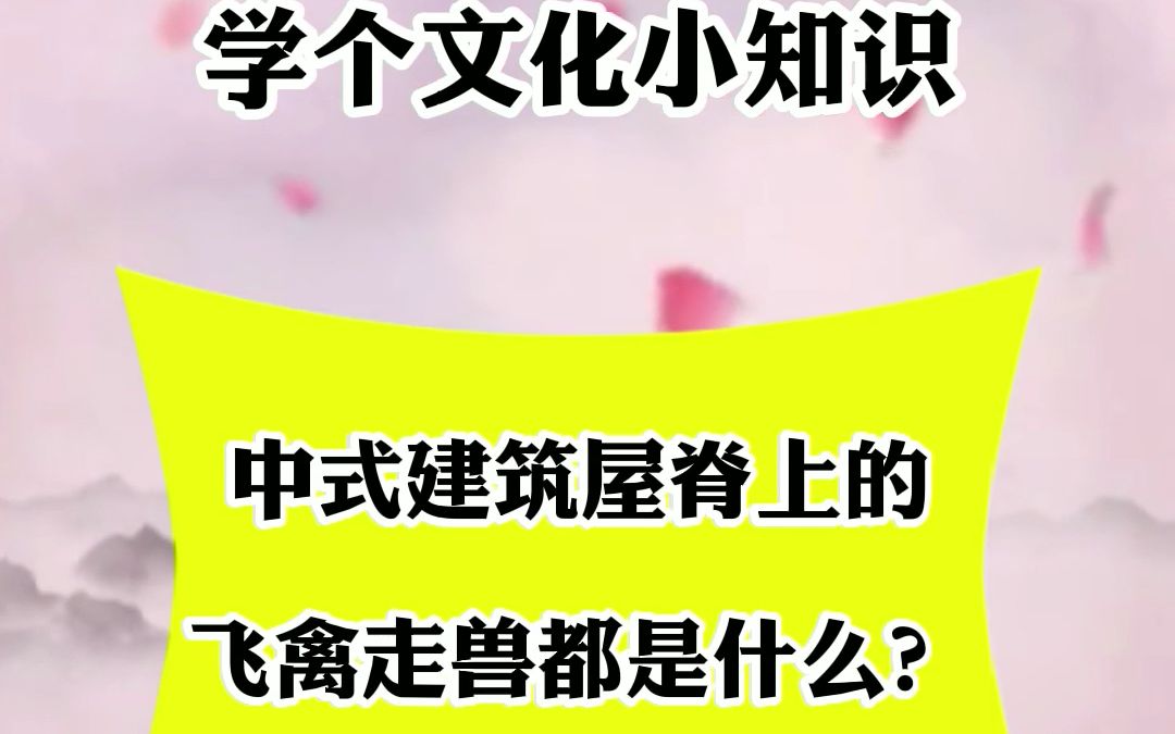 传统建筑上的飞禽走兽都是什么?哔哩哔哩bilibili