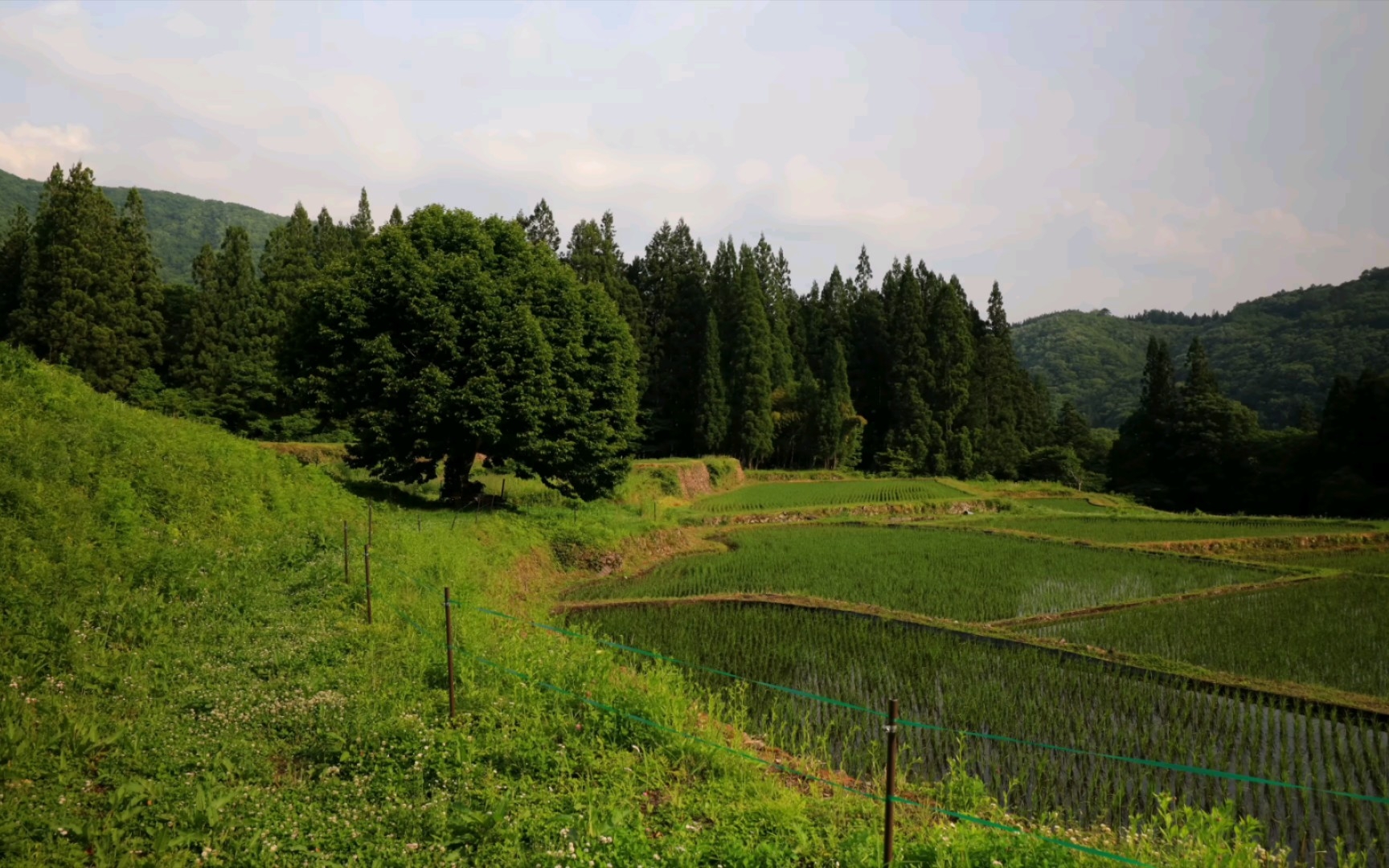 怀旧的日本村“相仓合掌造村” 及 日本最美村落 参观白马村绝景 编辑版4K哔哩哔哩bilibili