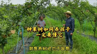 Download Video: 学会与树对话，你要懂它。