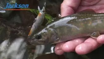 水が止まった用水路 トンネルの奥のぬしを釣るのだぜ 哔哩哔哩 Bilibili