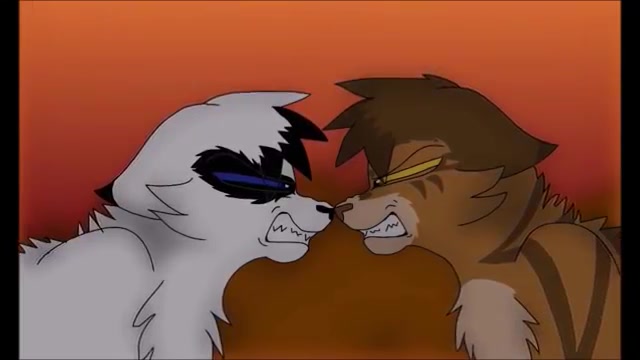 【猫武士】一星&暗尾 pmv-against the tide