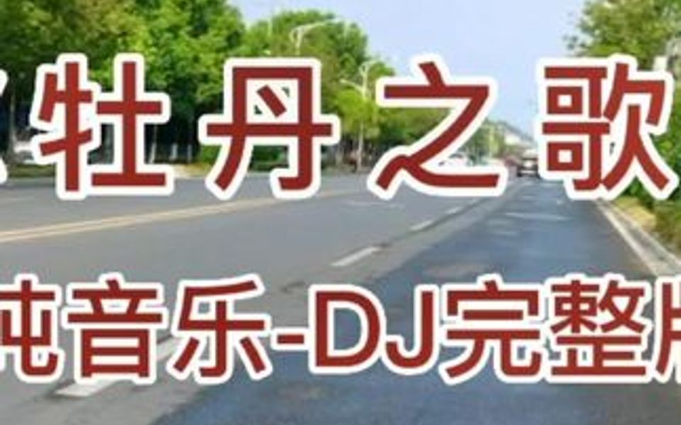 [图]经典老歌《牡丹之歌》电子琴纯音乐DJ完整版