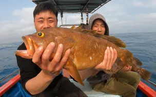 深海老红斑就是值钱，仅仅一条就能顶一个月的工资，发财了