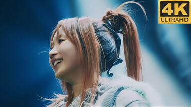 Ayase / Davinci】The Bloom_哔哩哔哩_bilibili