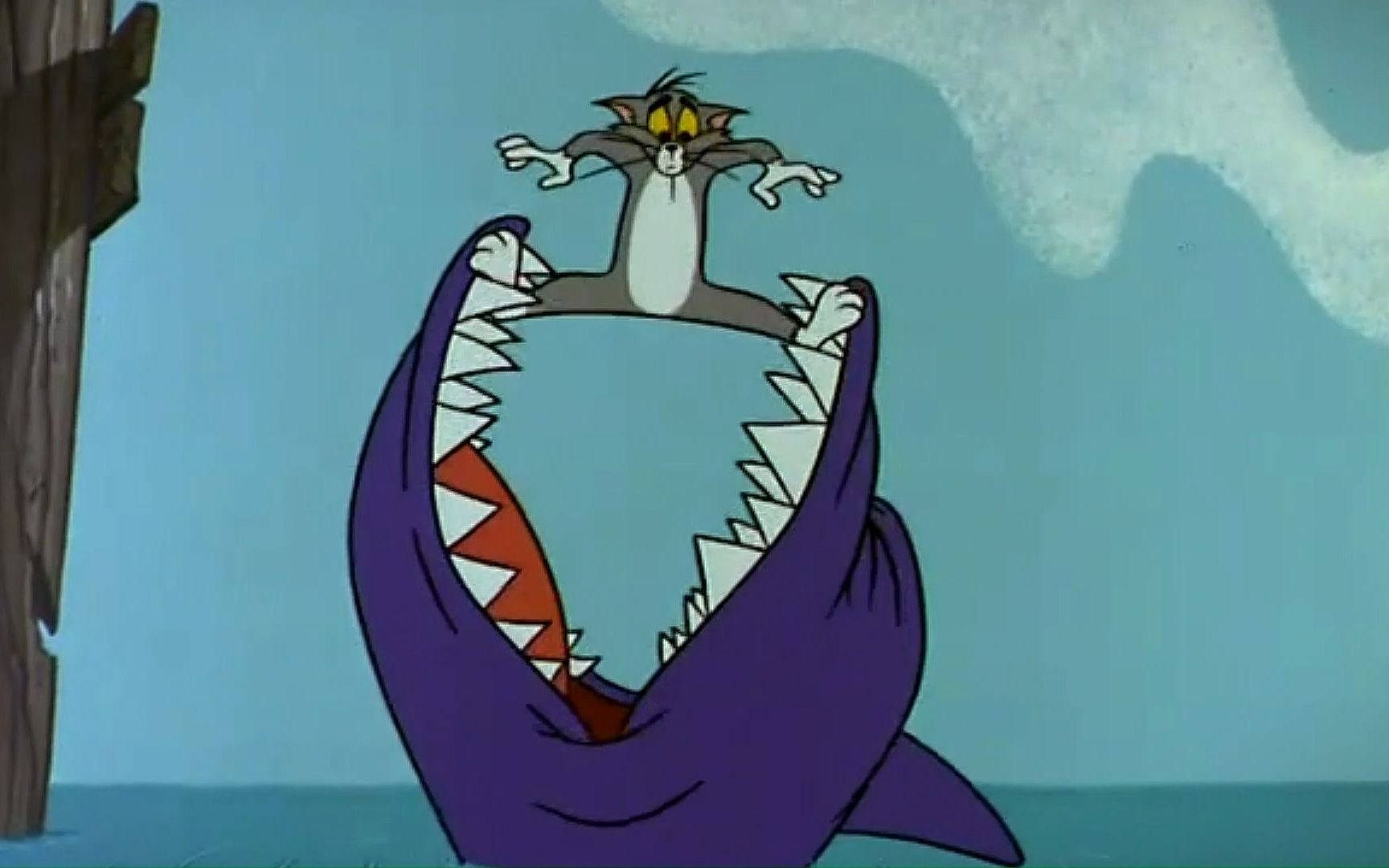 汤姆追杰瑞,结果惹怒了鲨鱼,全程爆笑