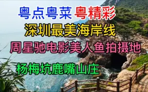 Download Video: 粤点粤菜粤精彩，深圳最美的海岸线杨梅坑鹿嘴山庄，周星驰电影《美人鱼》取景地，粤语中字幕