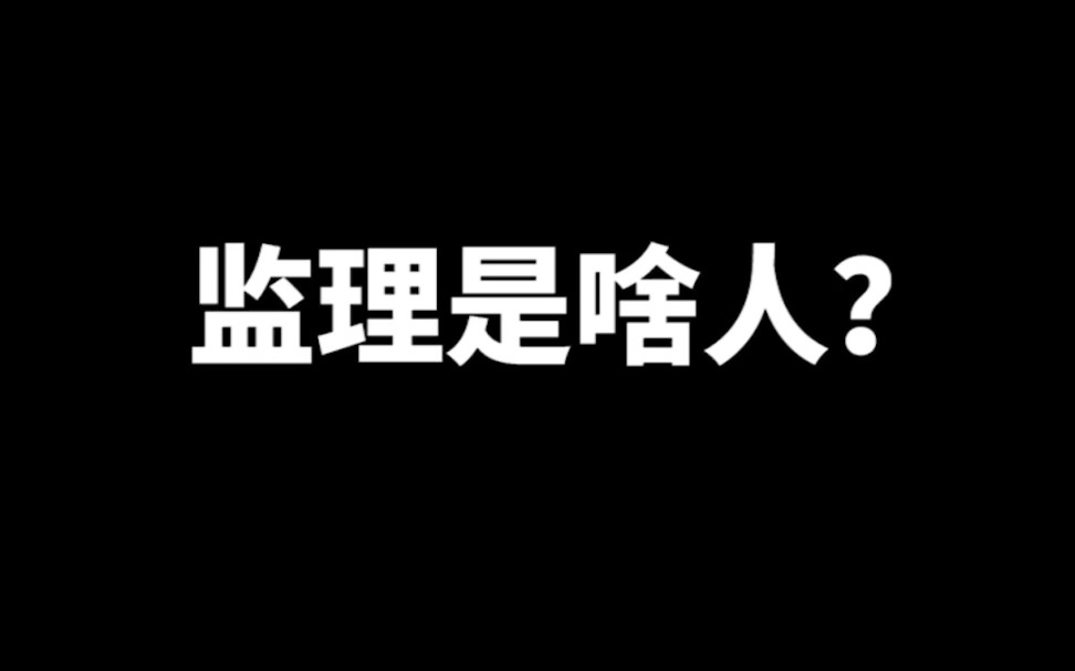 监理是啥人?哔哩哔哩bilibili