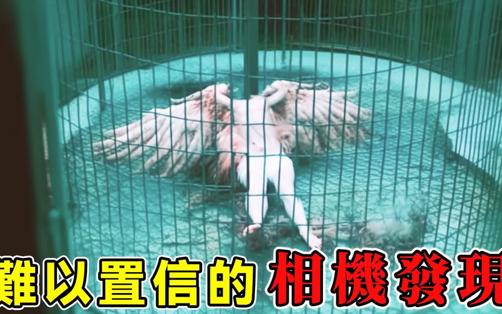 [图]那些被镜头记录下来的未解生物！30个让人后背发凉的相机记录！