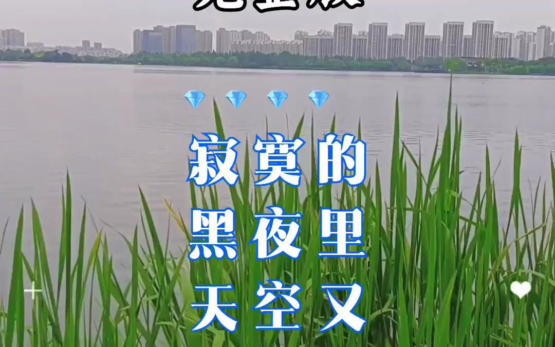 [图]7020734874130697479-一首非常好听的伤感歌曲 酒醉的雨滴 听的心酸，催人落泪 伤感音乐 热门歌曲