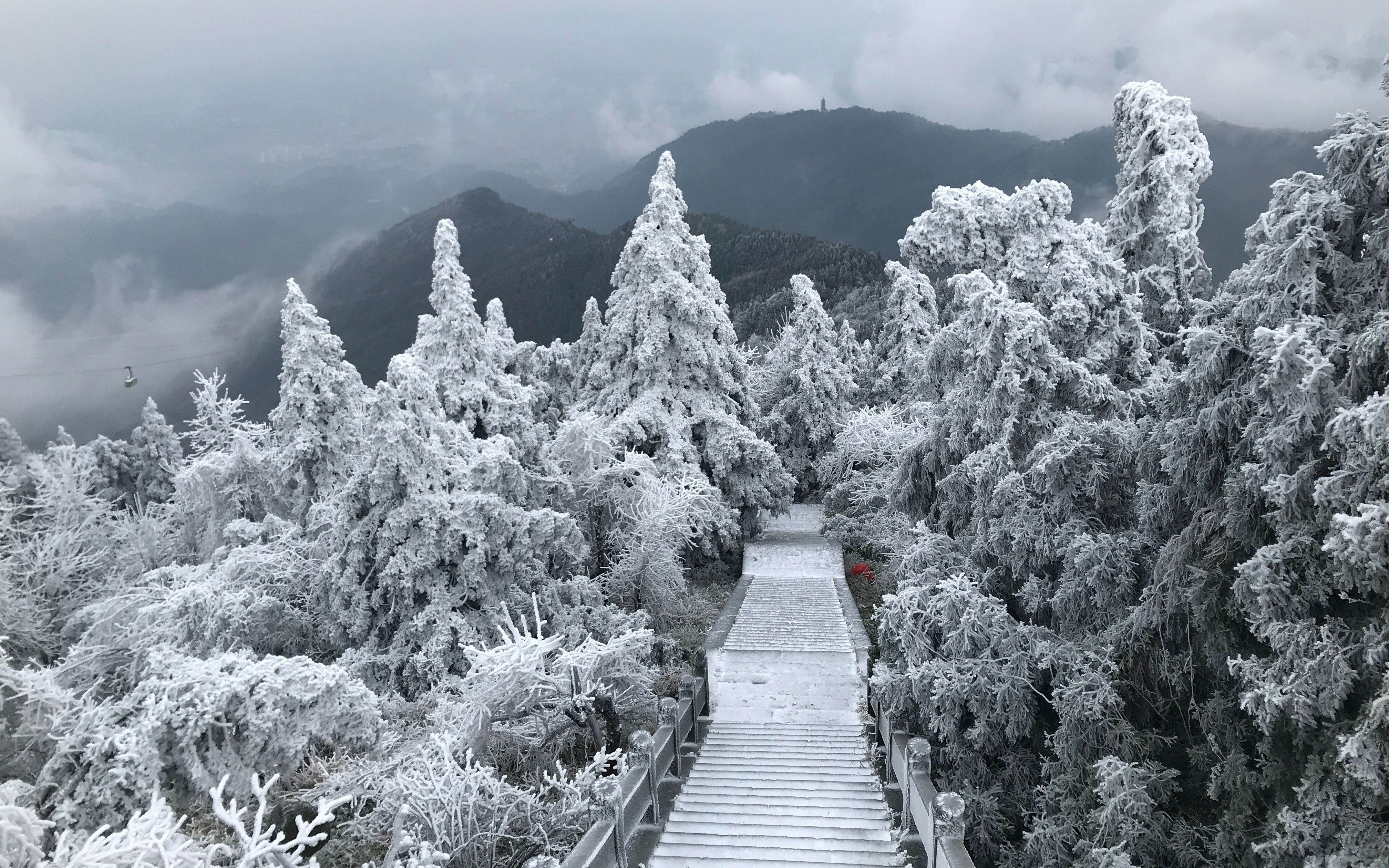 南岳衡山雾凇2022图片