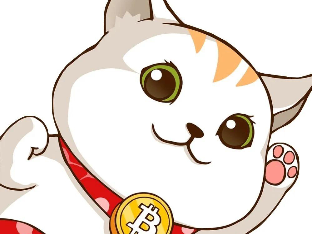 教新手如何加入比特币圈