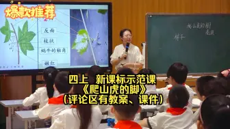 Tải video: 四上  新课标示范课 《爬山虎的脚》（评论区有教案、课件）