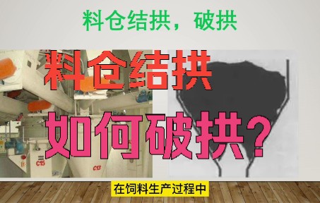 料仓结拱,如何破拱?#饲料,饲料生产,饲料设备哔哩哔哩bilibili