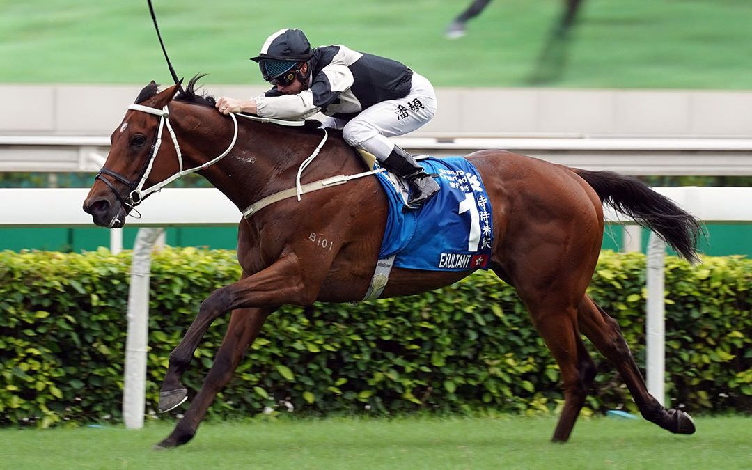 【赛马】2020年渣打冠军暨遮打杯